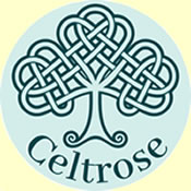 Celtrose-Consultancy - You've Got This Adviser